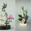 4PCS Stainless Floral Frogs Ikebana Stem Holder, Flower Frog Vase Fixed Pin Holder, Janpanese Round Floral Frogs Kenzans with Rubber Base for Flower Arrangement Gold (0.91''/1.34''/1.57''/1.81'')