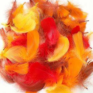 Lyrow 800 Pcs Thanksgiving Fall Feathers DIY Craft Color Feathers Dream Catcher Decoration Natural Fluffy Dress up Party Decoration, 2-4 Inches (Bright Color)