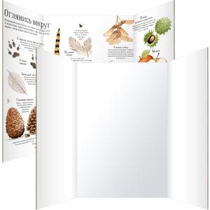 Trifold Poster Board 36"x48", 2 Pack White Extra Large Corrugated Display Board Foldable Board for School Projects, Science Fair, Business Presentations, Photo Displays, Graduation Exhibitions