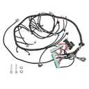 Engine Standalone Wiring Harness 4L80E DBW Compatible with Drive by Wire LS Engines 4.8L 5.3L 6.0L Green/Blue PCM & MULTEC/Delphi Fuel Injector 2003-2007