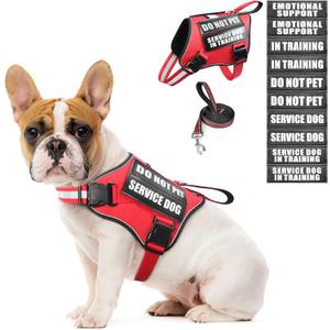 Service Dog Vest Harness and Leash Set+10 Patches, No Pull & Adjustable Reflective Dog Harness with Soft Padded Handle for Training/Everyday, Fit Small Dogs (Red S)