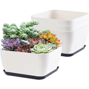 Succulent Pots 6 Inch Shallow Herb Planters with Drainage Hole - 4 Packs Cactus Planter for Home Office Garden Plants Pot Present - Plants Not Included (Off White) (Square 4 Pcs)
