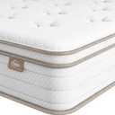 TeQsli 10 Queen Mattress