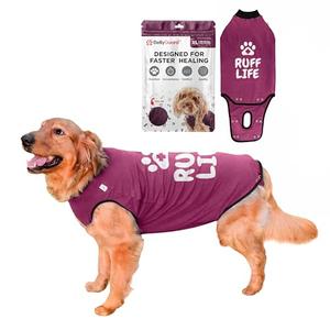 BellyGuard Recovery Suit for Dogs, Comfy Dog Surgery Suit, Female Spay and Male Neuter Onesie for Post-Op Care