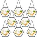 8 Pcs Pressed Flower Frames 4 x 3 Inch Hanging Glass Floating Photo Frames Glass for Pressed Flowers Double Picture for Artwork Display Photo Modern Home Wall Decor(Black)