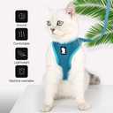 HEYWEAN Cat Harness and Leash - Ultra Light Escape Proof Kitten Collar Cat Walking Jacket with Running Cushioning Soft and Comfortable Suitable for Puppies Rabbits, Large