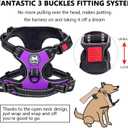 PoyPet Dog Harness and Leash Combo, Escape Proof No Pull Vest Harness, with 5 Feet Leash, Reflective Adjustable Soft Padded Pet Harness with Handle for Small to Large Dogs(Purple,S)