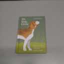 Sit, Stay, Grow: How Dogs Can Help You Worry Less and Walk Into a Better Future