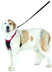 Sporn Harness Color: Blue Size: Large