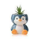 DIYOMR Cute Animals Planter, Mini Ceramic Cartoon Animal Shaped Succulent Flower Pot Indoor Air Plants Holder, Smooth Shiny Decorative Flower Cactus Planter - Plants Not Included (Penguin)