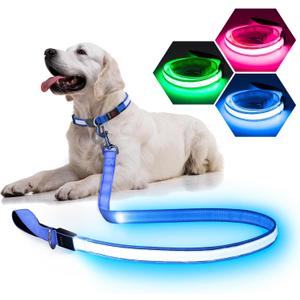 LED Light Up Dog Leash - 4 Ft USB Rechargeable Reflective Nylon Leash with Padded Handle - Flashing Luminous Glow Leashes for Large Medium Pets Night Safety Walking-Blue