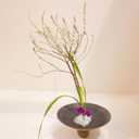 Flower Frog, Frogs for Arrangements Supplies, Floral Ikebana Stem Holder, Stem Pin Holders, Clear Plastic Ikebana Bowl (8pcs)