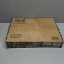 Baby Einstein Ocean Explorers 4-in-1 Kickin Tunes Jellyfish Jamboree Music & Language Discovery Gym, Pink, Ages 0 Months and Up