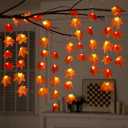 JOYIN Thanksgiving Decorations Branch Light with Maple Leaves, Total 21.3FT Fall Leaves Decor String Lights, Thanksgiving Maple Leaf Decorative Lights for Home, Indoor, Outdoor, Party Supplies