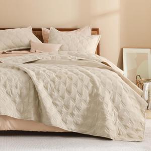 Litanika Queen Quilt Bedding Set, Oatmeal Summer Lightweight Soft Comforter Bedspreads & Coverlets, Boho Farmhouse Bedding Cover Bed Decor All Season, 3 Pieces (1 Quilt, 2 Pillowcases)