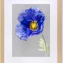 VNVNK 22x28 Frame Natural Wood Color, Perfect for 22x28 Inch Picture without Mat or 18x24 Inch Picture with Mat, Home Wall Decor Picture Frame-1 PCS