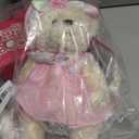 Oitscute Small Baby Teddy Bear with Cloth Cute Stuffed Animal Soft Plush Toy 10" (Pink lace Dress with Rabbit)