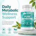 Jade Supplements Pure Berberine, 60 Vegetarian Capsules (Best Before 05/05/2028)