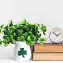 Maxcheck 2 Pack St. Patricks Day Shamrock Vase Large Artificial Clover Plants Live in Pots St. Patricks Plants Vase Gift for Irish Party Tiered Tray Decoration