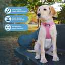 Best Pet Supplies Voyager Step-in Air Harness - All Weather Mesh, Reflective, No Pull Harness for Dogs, Cats - Secure with Hook & Loop Fastener, Buckle, Double D-Rings - Pink, S