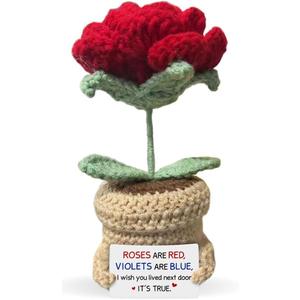 2 x Friendship Gifts for Women - Best Friend Birthday Gifts for Women - Handmade Crochet Roses, I Wish You Lived Next Door