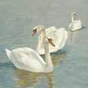 ArtXO Swan Wall Art Canvas Vintage Wall Decor Animal Decorative Painting, Rustic Farmhouse French Country Decor for Gallery Bedroom Living Room Office 8x10in Unframed (White004)