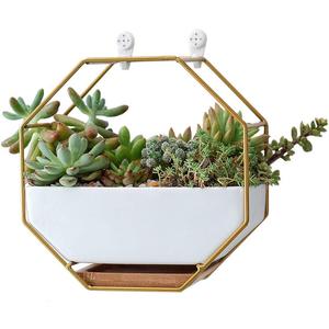 VanEnjoy 7" White Ceramic Wall Planters Vase and Copper,Drainage Hole with Bamboo Tray - Succulent Pot Air Plants Mini Cactus Artificial Flowers Hanging Geometric Hexagon Wall Decor (Gold Metal)