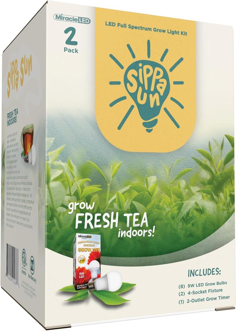 Miracle LED Sippa Sun Indoor Tea Grow Light Kit  Home Grown Green, Black, Oolong Tea  Absolute Daylight Full Spectrum Replace 100W Grow Bulbs & 4-Socket Corded Fixture with Timer (2-Pack)
