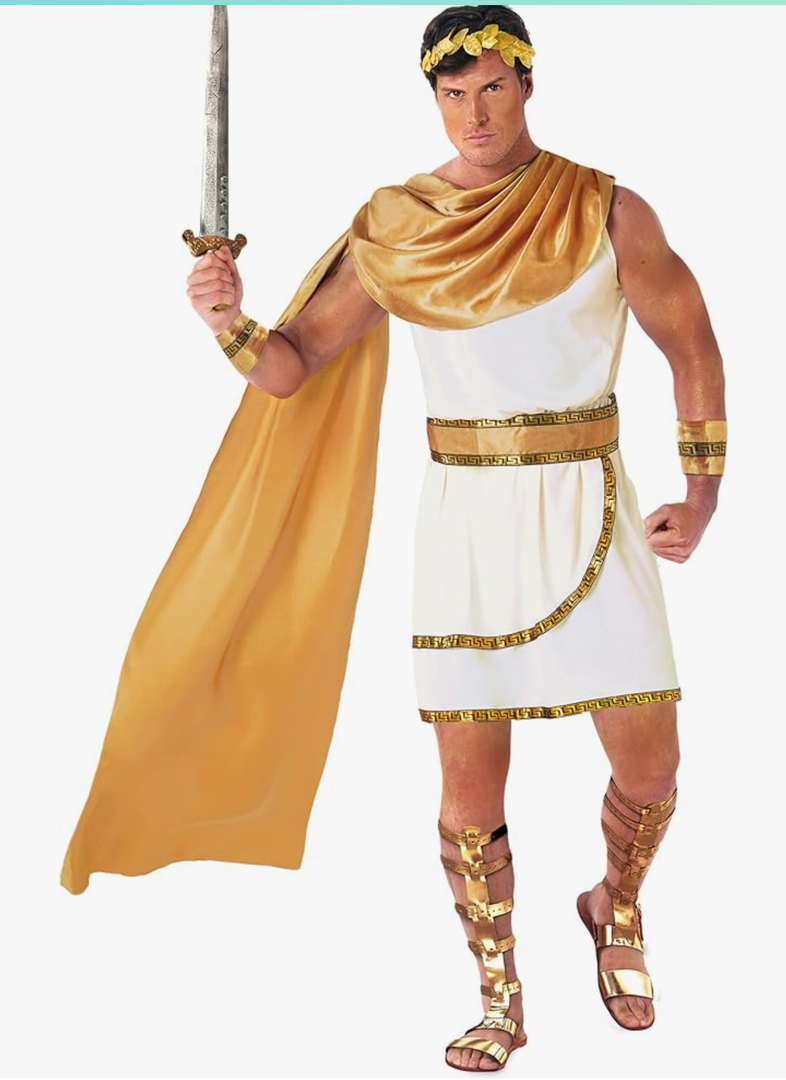 Morph Greek God Costume - Toga Roman Zeus Costume - Men's Greek Toga, Large