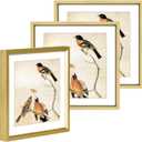 6x6 Picture Frame, Brass Metal Photo Frames with HD Glass, Fits 5x5 with Mat or 6 x 6 without Mat, Display for Wall and Table, 3 Pack