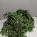 WBHome 9ft Real Touch Norfolk Pine Christmas Garland, Winter Greenery Garland for Christmas, Holiday Seasonal Outdoor/Indoor Home Decor, 9FT Long