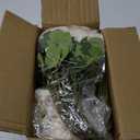 FOTEEWL 60 Pcs Artificial Rose Flower Realistic Faux Silk Roses Stem Fake Roses Bouquet for Flower Arrangement,Wedding Centerpieces,Party,Home Decorations (Beige)