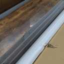 Colima Floating Shelves for Wood Shelf for Bedroom, 36 Inch Wall Mounted Floating Shelves for Bathroom Living Room Kitchen Office, 1.5" Thick Floating Book Shelves for Wall, Set of 3 Brown