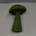 SuperMoss (55271) Deco Moss Small Mushroom, 11", Fresh Green