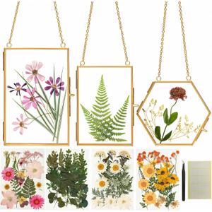 Relaxing Garden Pressed Flower Craft Kit for Adults & Women, DIY Floating Double Glass Frame Kit with Real Dried Flowers, Handmade Gift Art Project for Home Dcor, Keepsake & Creative Crafts