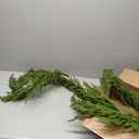 9 FT Real Touch Norfolk Pine Garland Green Artificial Christmas Garland Faux Greenery Garland for Holiday Fireplace Mantle Window Indoor Outdoor Decor, 1 Pc