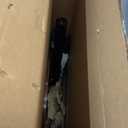 Rolling Adjustable Height Desk with Drawer and Wheels, Portable Small Standing Desk Pneumatic for Home Office, Mobile Computer Laptop Desk Cart, Medical Sofa Overbed Table, Black Walnut (30x18 in)