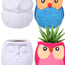 Winlyn 4 Sets DIY Ceramic Owl Succulent Pots Paint Craft Kit, Unpainted Ceramic Bisque Owl Flowerpots with Drainage Hole, Ready to Paint for Kids Classroom Craft Project Activity