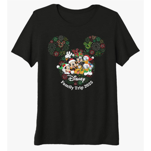 Disney Mickey & Friends Holiday Fireworks Family Trip 2025 Premium Tri-Blend T-Shirt Size Small