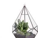 NCYP Hanging Glass Geometric Terrarium for Succulent - 6.8" x 6.8" x 8.6" Indoor Teardrop Shape Plants Planter, Tabletop Decorative Centerpiece, Black Container, Opening, Handmade (No Plants)