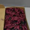 Bird Fiy Black Lanyard 100 Pack Bulk Lanyards for Id Badges Holders Each Lanyard 17 Inch with 360 Swivel Hook (Red)