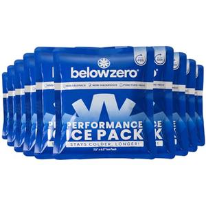 Below Zero Prefilled Reusable Ice Packs for Coolers | Long Lasting Freezer Ice Blocks for Camping, Lunch Bags & More | 48 Hour Cooler Ice Pack Technology | Small 7.5”x6.5” (10-Pack)