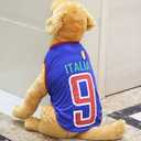 GabeFish Dog World Cup T Shirt Pets Football Jersey Sports Soccer National Team Vest Cat Summer Cool Clothes Apparel Italy Medium