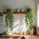 Artificial Hanging Plant 2 Pcs Faux Plant Ivy Vine Faux Eucalyptus Vines Fake Potted Greenery for Wall Living Room Home Shelf Office Bathroom Outdoor Indoor Decor (Type 7)