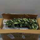 Olive Trees Artificial Indoor, 6FT Tall Faux Olive Tree with Lights Moss and Planter, Artificial Plants Indoor with Natural Wood Trunk and Lifelike Fruits, Fake Tree for Home Office Living Room Decor