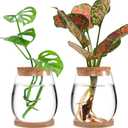 Biggun Plants Propagation Station - 2Pcs Desktop Plant Terrarium Glass Hydroponic Vases, Water Plant Jars, Gardening Gifts for Women Mom Plant Lovers (Water Drop Shape, Separated Tray Style)