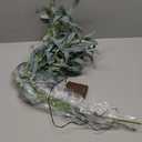 Hairui Lighted Olive Branches with Timer 24IN 72LED Battery Operated, Artificial Greenery Olive Tree Branch with Fairy Lights for Wedding Christmas Home Indoor Outdoor Decoration