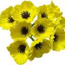Rikyo 10 Stem 11inch Bouquets Artificial Flowers Poppy Flowers,Faux Anemone PU Fake Wild Flowers for Kitchen Table Centerpiece Vase,Home Wedding Holding Flowers Backdrop Arch Wall (Yellow)