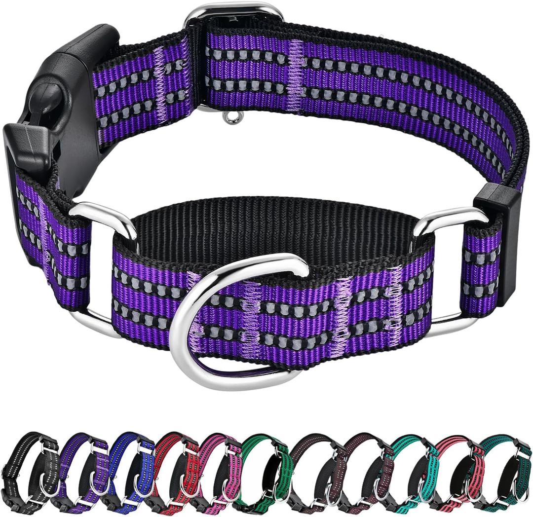 Hikiko Martingale Collar for Dogs Reflective Nylon Dog Collar with Quick Release Buckle Adjustable Training No Slip Dog Collar (X-Large, Purple)