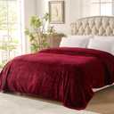 Westinghouse Heated Blanket Twin Size, Electric Heating Blanket with 10 Heating Levels, 1-12 Hours Auto Shut Off, Fast Heating Warming Blanket, Machine Washable (Twin, 62x84 Inches, Wine Red)